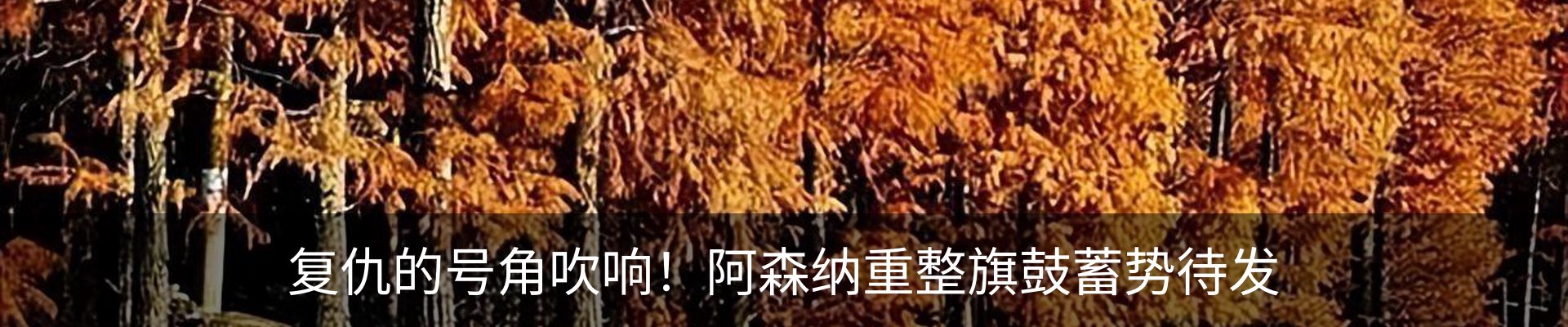 行业资讯